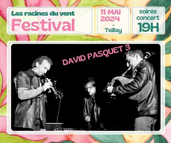 Fest Noz David Pasquet 3